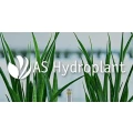 Logo Hydro Konzept Pflanzen Service GmbH