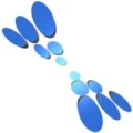 Logo IBT Software GmbH