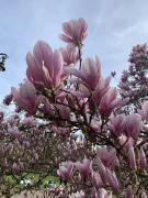 ICook, Athmosphere Sky und eSpring, Avon- und Amwayprodukte Vertrieb Mainz