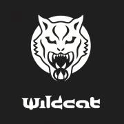 Logo Ida Siedler Schmuck und Accessoires Wildcat Store