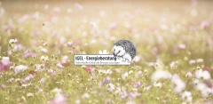 IGEL-Energieberatung Freystadt