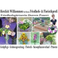 Logo Ihr Friedhofs- und Floristikprofi Friedhofsg&auml;rtnerin Doreen Ponert
