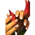 Logo Ihr Grafschafter Nagelstudio Nails on the Road Inhaber: Nadja Neumann