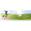 Ihre Gartenfee GmbH Obersulm