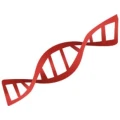 Logo IhreGene GmbH