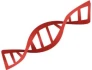 Logo IhreGene GmbH