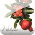 Logo il Melograno GmbH