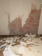 Immobilien-Vermittlung Mandy Brockelmann Stade