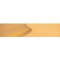 Logo IMPLAMANT