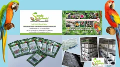 Import Handel Seeds & Plants Shop Ipsa Samenbank Pfullingen Pfullingen