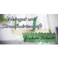 Logo Schmitt, Ludwin