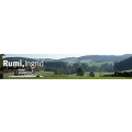 Logo Ingrid Rumi