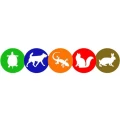 Logo inntal-vets Kleintiere und Reptilien