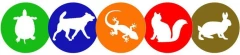 Logo inntal-vets Kleintiere und Reptilien