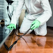Insectacon GmbH & Co.KG Alzenau