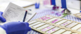 Logo Institut für Pathologie Krankenhaus Nordwest & Gemeinschaftspraxis für Pathologie