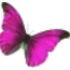 Logo Institut für Schönheit Stefanie Baumann
