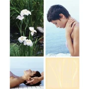 Logo InTouch Massagetherapie Monika Siems