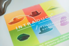 INTRADUCT ® Fachübersetzungen & Dolmetscherdienst GmbH Dortmund