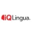 Logo iQ Lingua Sprachschule: Deutschkurs Frankfurt