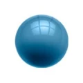 Logo Prinke-Gosch, Iris