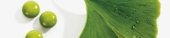 Logo Isolde Carbon Heilpraktikerin