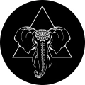 Ivory Tattoo Wiesbaden UG (haftungsbeschr&auml;nkt) Wiesbaden