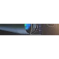 Logo IVS-Internationaler Vider Service