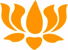 Iyengar Yoga Dresden Dresden