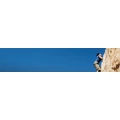 Logo Van Treeck-Goerner, Janet