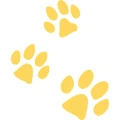 Logo Janine Neumann