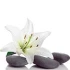 Logo Janine Vogel Physiotherapie