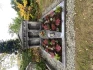 Logo Jansen Heinz Steinmetzbetrieb GmbH, Nordfriedhof Grabmale Marmor Grabmale Marmor