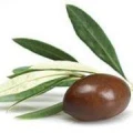 Logo Jassas Griechische Feinkost