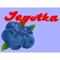 Logo Jegotka GmbH