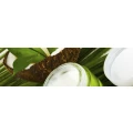 Logo Jens Marschall Mobiler Wellnessmasseur