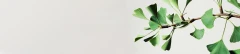 Logo Jin Shin Jyutsu Praktikerin