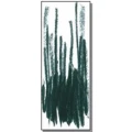 J&ouml;rg Raudonat Garten- und Landschaftsbau Potsdam
