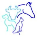 Logo Korte, J&ouml;rg-Richard