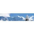 Logo Wei&szlig;gerber, J&ouml;rg Skiclub