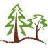 Logo Johannes Braun