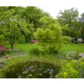 JoMi Garten- und Landschaftsbau GmbH & Co. KG