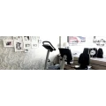 JONNY M. Women Fitness Club Stuttgart West Stuttgart