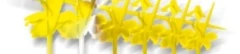Logo Mertens, Josef
