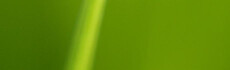 Logo Juergen Peter Gärtnerei