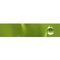 Logo Julia Wenderoth Wohlsinn-Entspannung