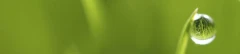 Logo Julia Wenderoth Wohlsinn-Entspannung
