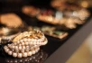 Logo Juwelier Ludwig - Edler Schmuck und Goldankauf in Darmstadt