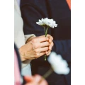 Blume_720x720.jpg