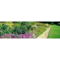 Logo Naturraum Garten-, und Lanschaftsbau